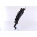 Fan, radiator 85137 Nissens, Thumbnail 4