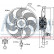 Fan, radiator 85703 Nissens, Thumbnail 6