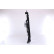 Fan, radiator 85711 Nissens, Thumbnail 3