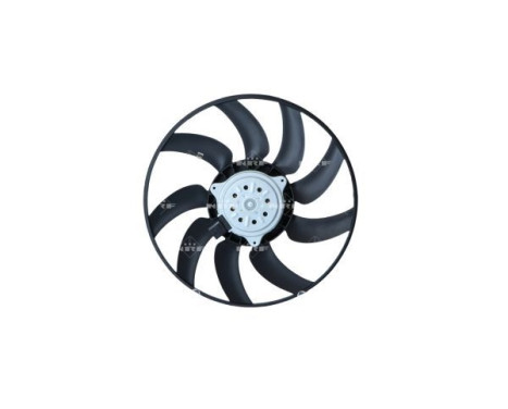 Fan, radiator