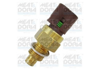 Temperature switch, radiator fan