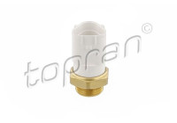 Temperature switch, radiator fan