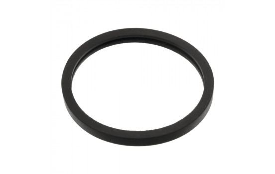 Gasket, thermostat 05156 FEBI