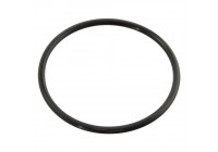 Gasket, thermostat 10258 FEBI