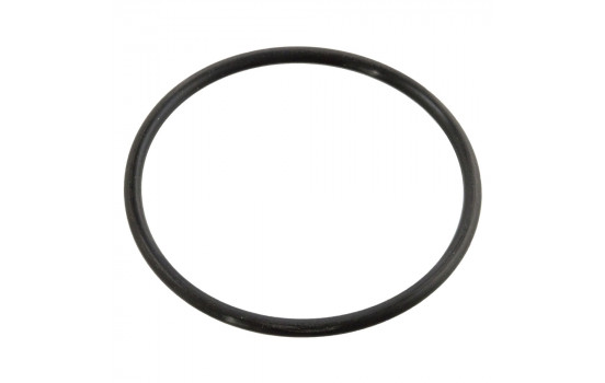 Gasket, thermostat 10258 FEBI