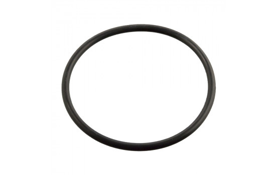 Gasket, thermostat 11443 FEBI