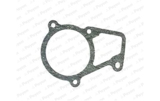 Gasket, thermostat KK5682 Payen