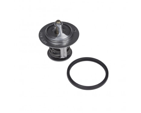 Thermostat, coolant ADT39205 Blue Print