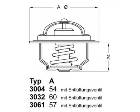 Thermostat, coolant