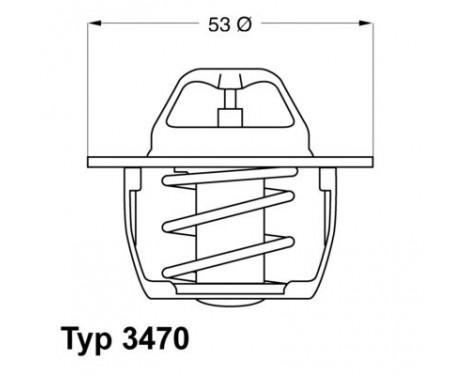 Thermostat, coolant