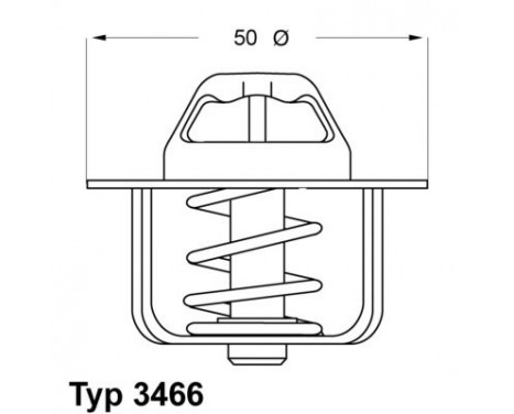 Thermostat, coolant