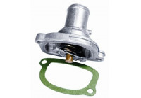 Thermostat, coolant