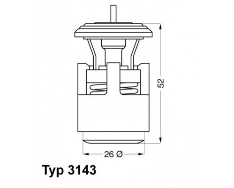 Thermostat, coolant