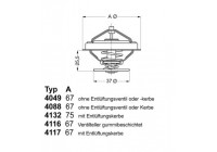 Thermostat, coolant