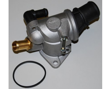 Thermostat, coolant