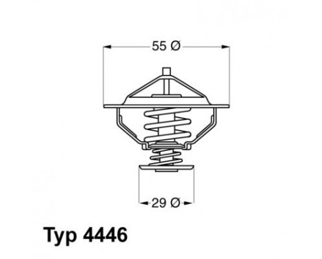 Thermostat, coolant