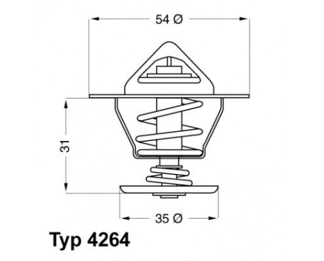 Thermostat, coolant