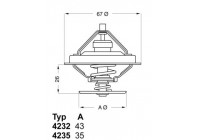 Thermostat, coolant