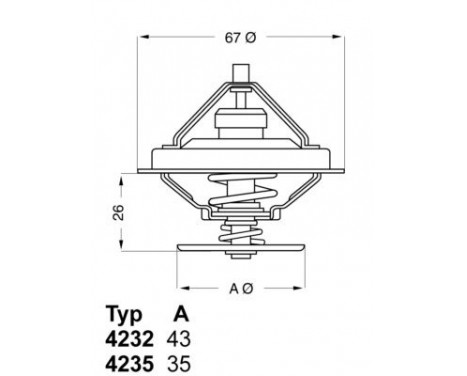 Thermostat, coolant