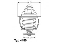 Thermostat, coolant