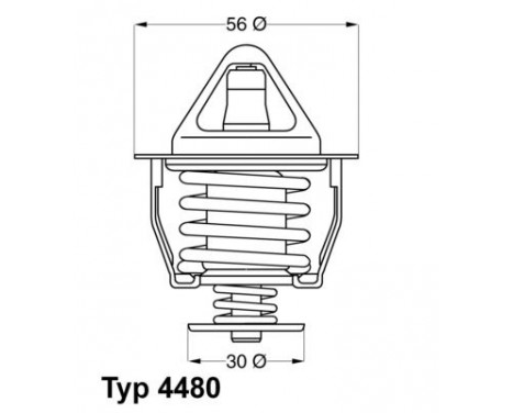 Thermostat, coolant