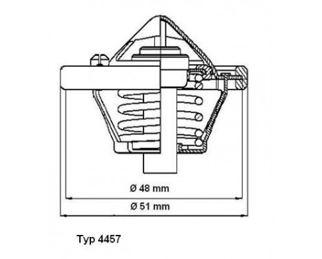 Thermostat, coolant