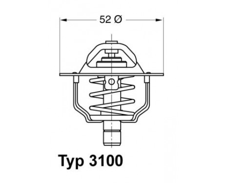 Thermostat, coolant