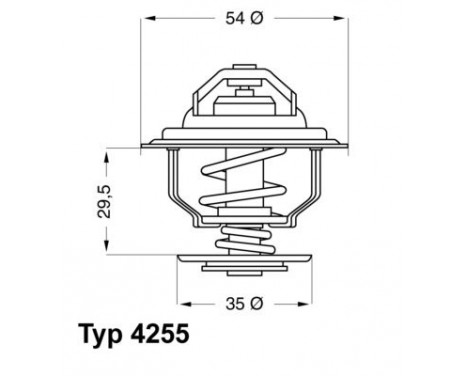 Thermostat, coolant