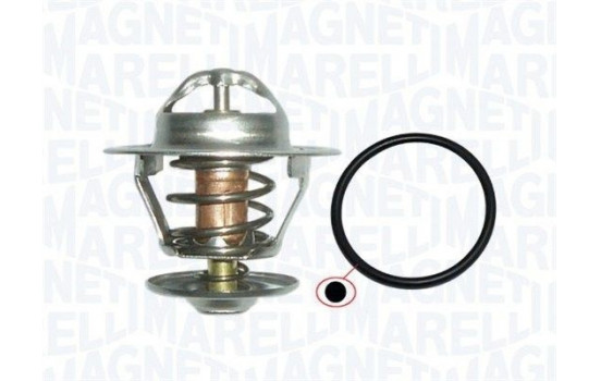 Thermostat, coolant