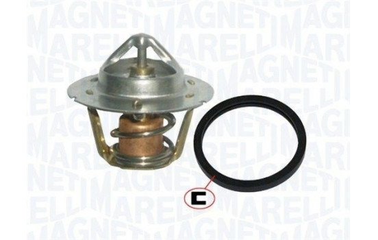 Thermostat, coolant