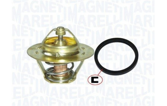 Thermostat, coolant