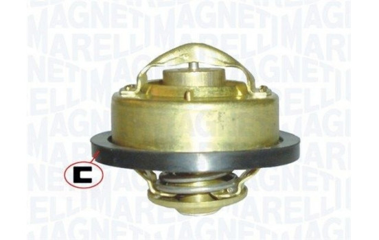 Thermostat, coolant