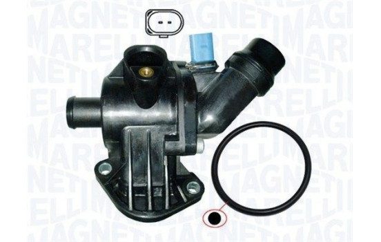 Thermostat, coolant