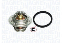 Thermostat, coolant