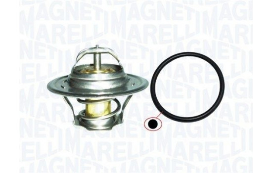 Thermostat, coolant