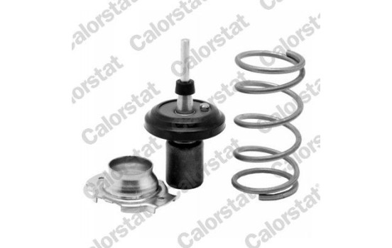 Thermostat, coolant