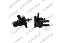 Thermostat, coolant