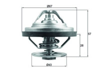 Thermostat, coolant