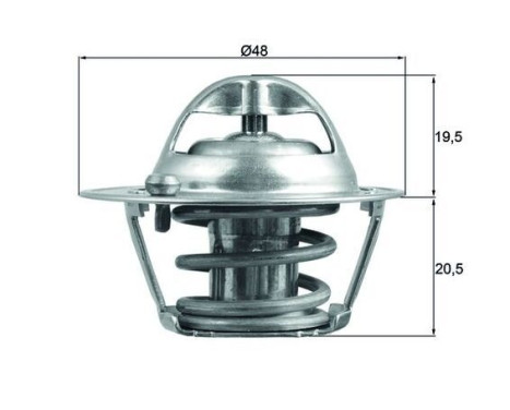 Thermostat, coolant