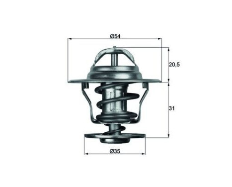 Thermostat, coolant