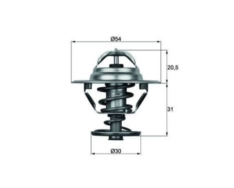 Thermostat, coolant