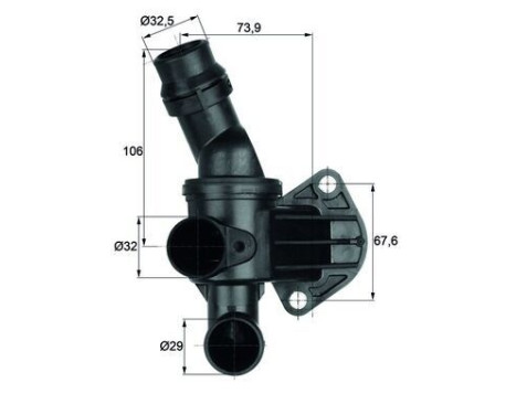 Thermostat, coolant