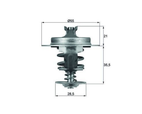 Thermostat, coolant