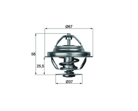 Thermostat, coolant