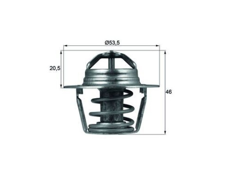 Thermostat, coolant