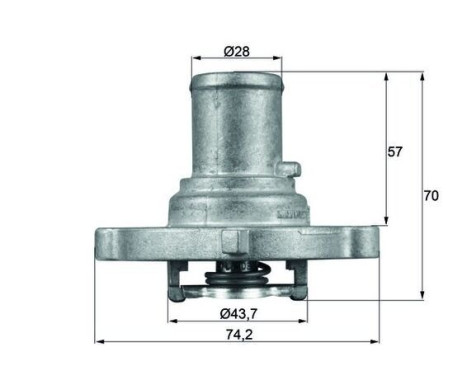 Thermostat, coolant