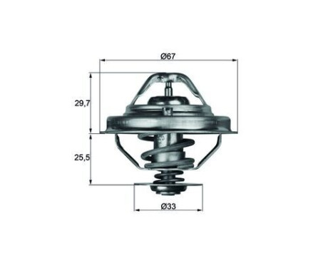 Thermostat, coolant