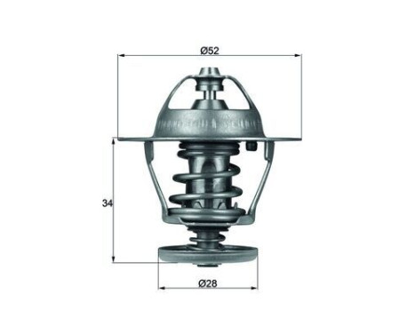 Thermostat, coolant