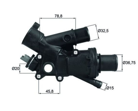 Thermostat, coolant