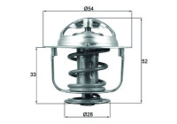 Thermostat, coolant